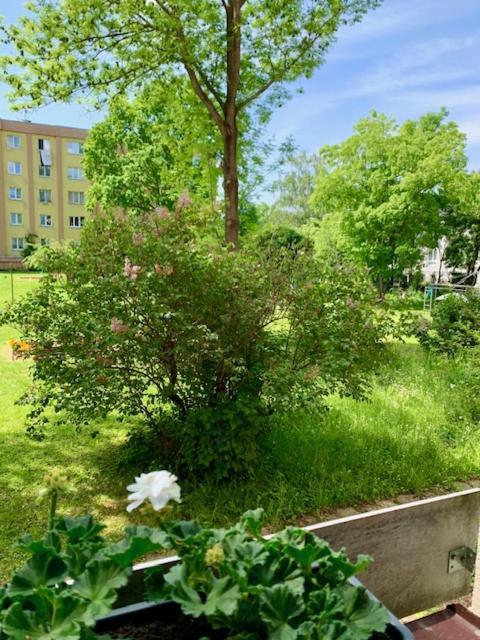 Apartman Snyt Primka ออลอโมตซ์ ภายนอก รูปภาพ