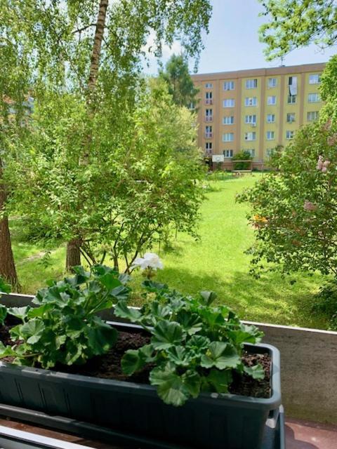 Apartman Snyt Primka ออลอโมตซ์ ภายนอก รูปภาพ
